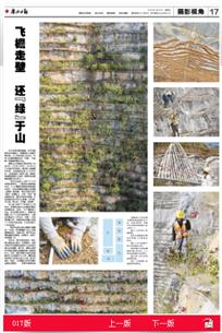 《廣西日?qǐng)?bào)》用一個(gè)整版報(bào)道公司這個(gè)項(xiàng)目