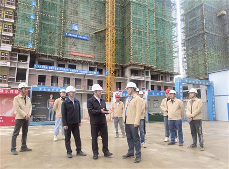 【奮戰(zhàn)四季度·決勝全年穩(wěn)】覃振華到象州項目調(diào)研指導