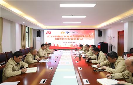 廖立波、唐峰、何勇以普通黨員身份參加所在黨支部2022年度組織生活會